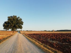 Il campo della mia libertà