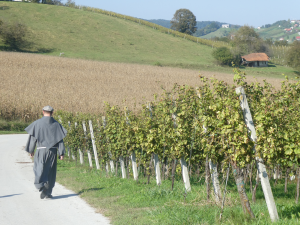 Motore di ricerca