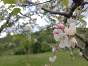 L’amore domanda cambiamenti