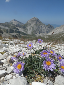 Siamo conosciuti